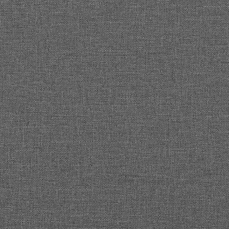 vidaXL Canapé Moderne Gris Foncé - 2 et 3 Places : Meubles de Salon, Cadre en Bois Robuste, Tissu Confortable